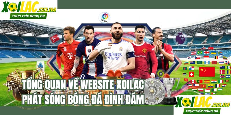 Tổng quan về website XOILAC phát sóng bóng đá đình đám