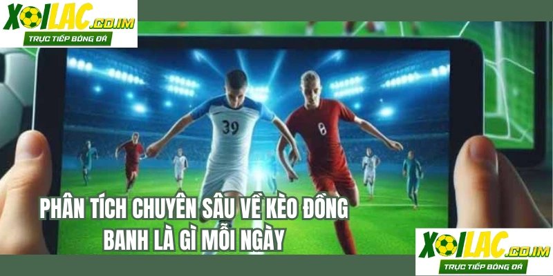 Phân tích chuyên sâu về kèo đồng banh là gì mỗi ngày